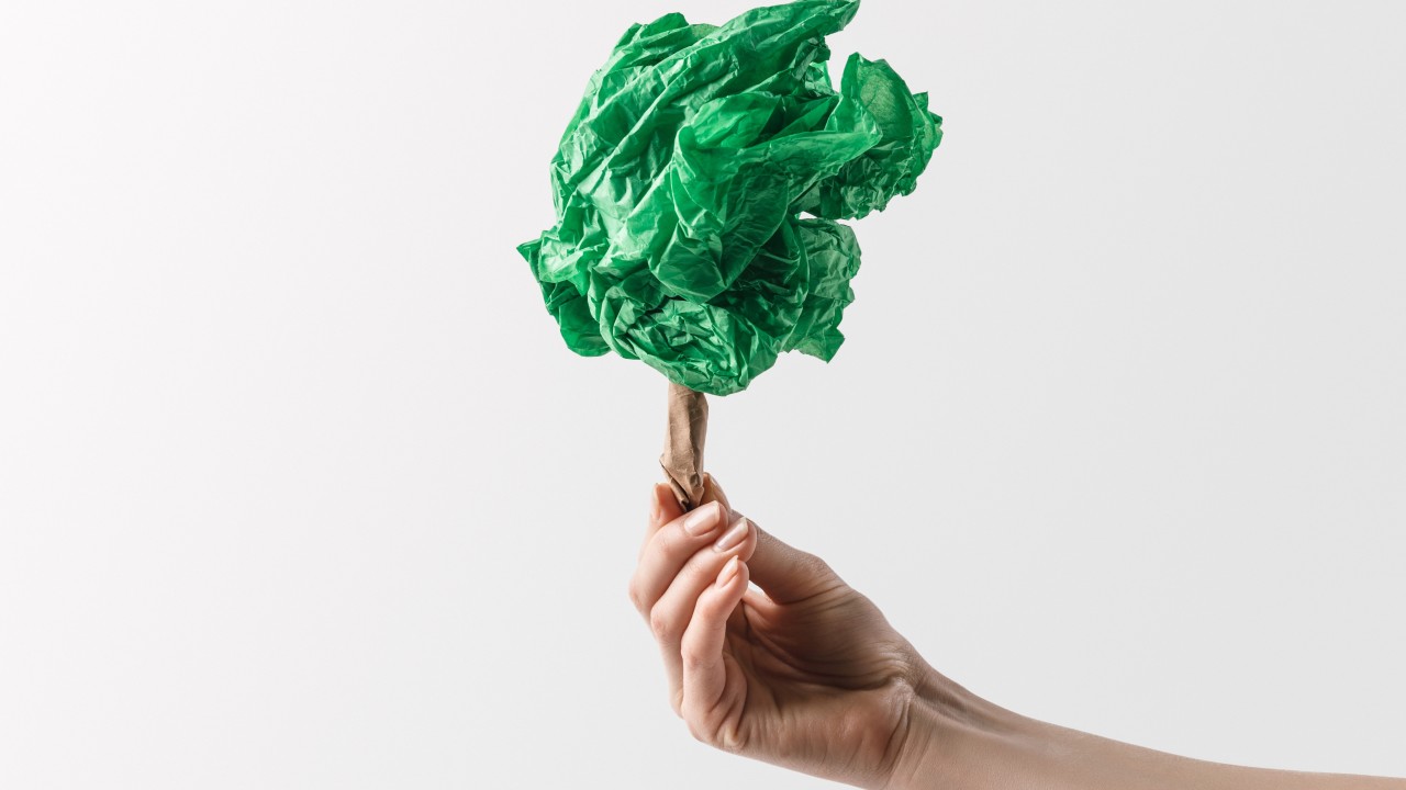 Greenwashing: what they don't tell you about sustainability.